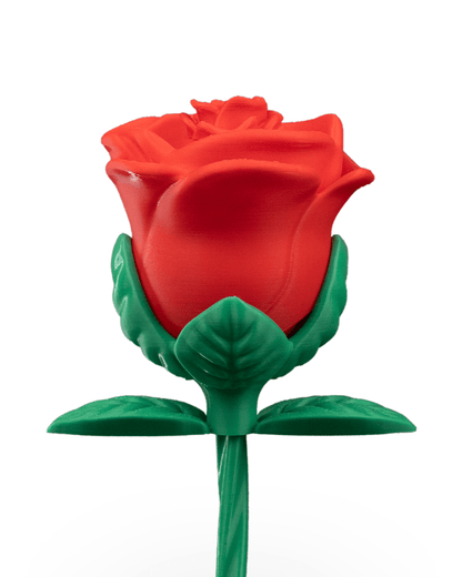 Rosa Infinita – Design Modulabile